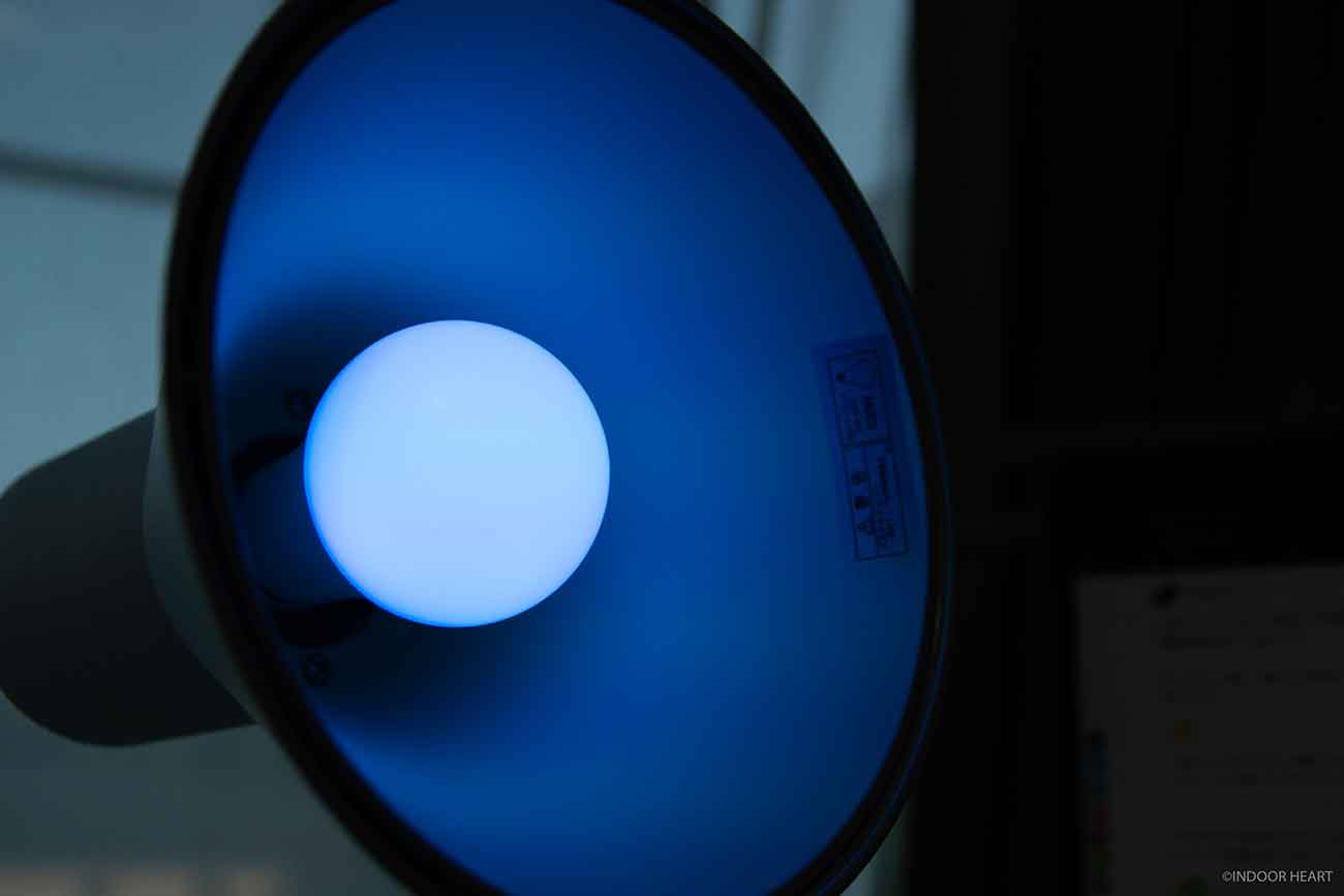 青色のスマート電球