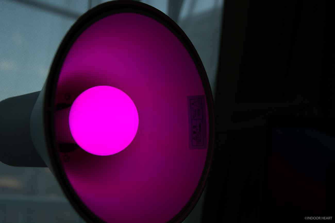 ピンク色のスマート電球