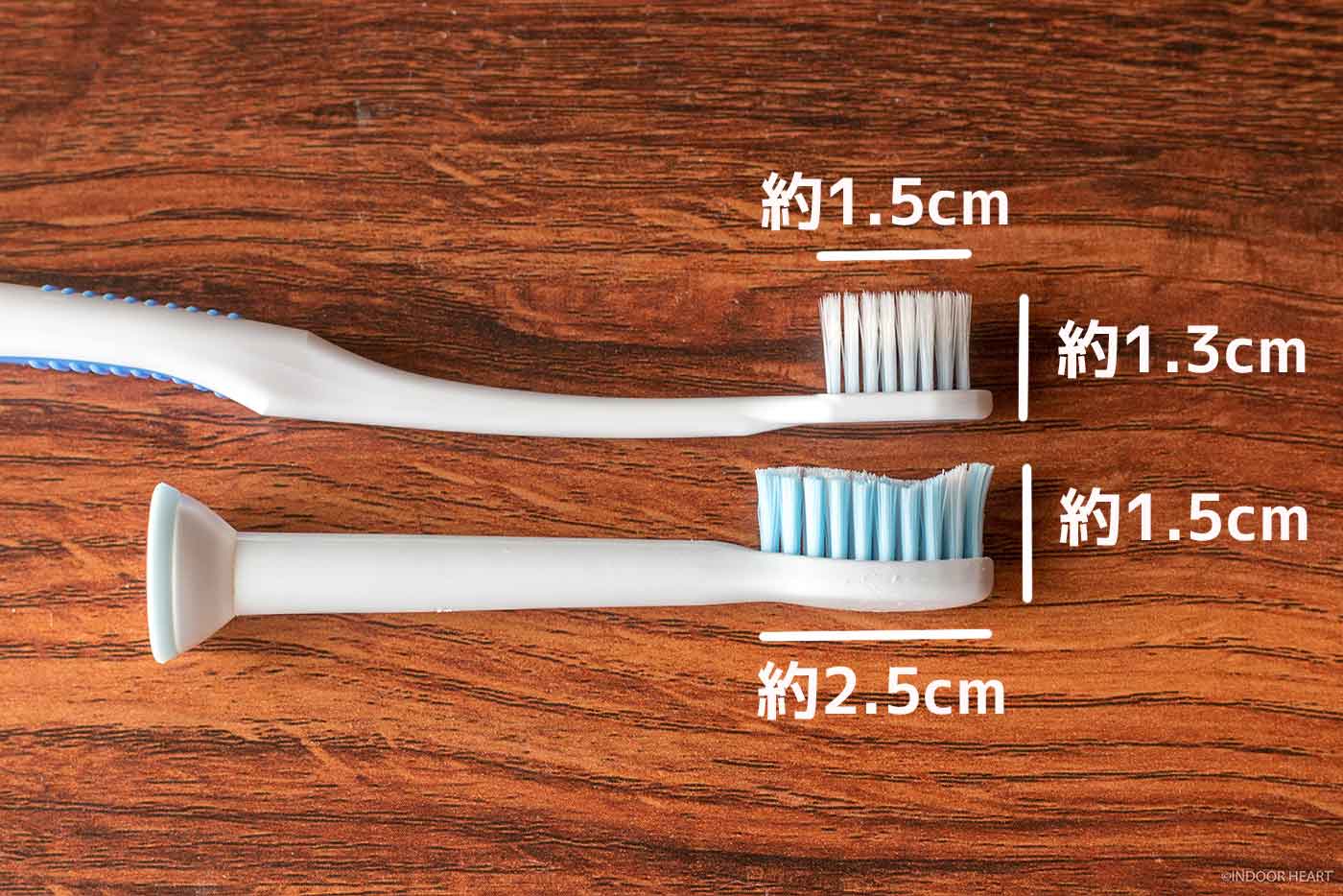 歯ブラシのサイズ比較