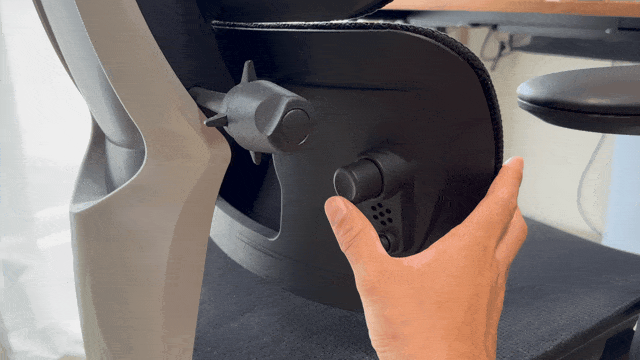 FlexiSpot C7 Morpherのエアランバーサポート